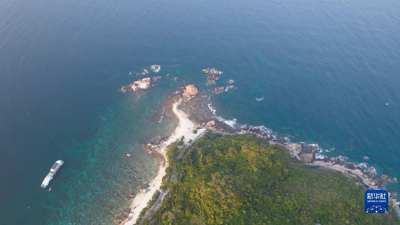 ????? ???? ????? ????? ?????? ?????? ?????????