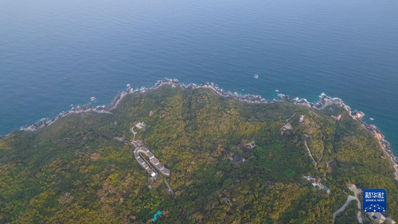 ????? ???? ????? ????? ?????? ?????? ?????????