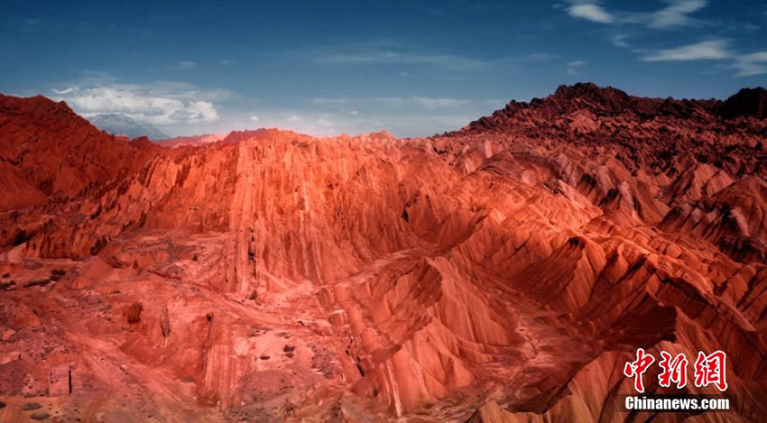 ?????? ?????? ?? ????????? ???? ?????? ??? ???? ???????