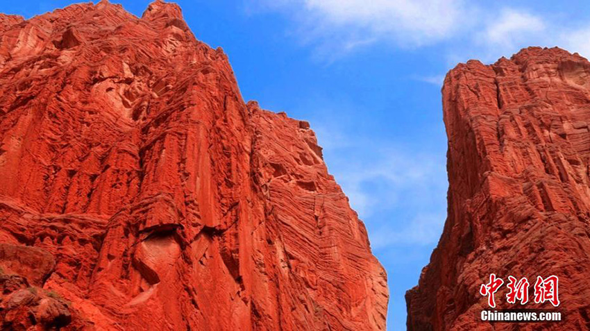 ?????? ?????? ?? ????????? ???? ?????? ??? ???? ???????