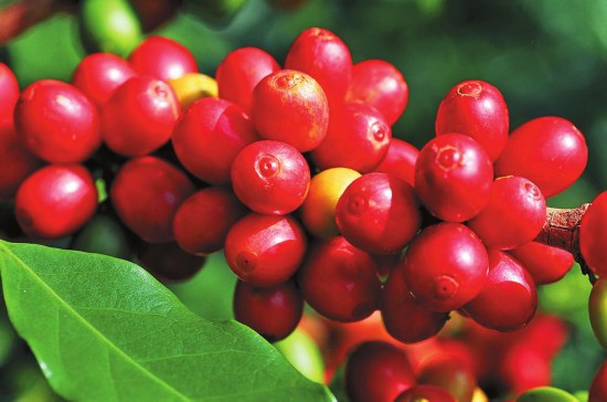 ?????? ?? ?????? ????? ?????? ????? ????