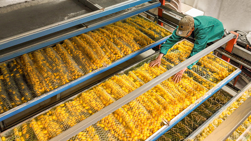 ?????? ???????: ???? ????????? ?? ???? ??????? ???????