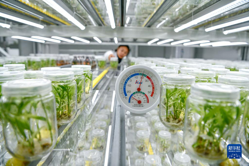 ?????? ???? ????? ??????????? ??????? ?? ???????