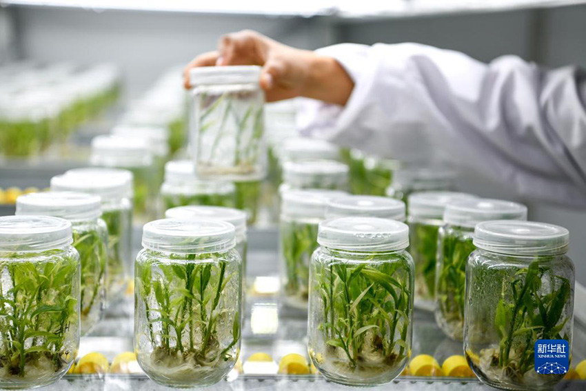 ?????? ???? ????? ??????????? ??????? ?? ???????