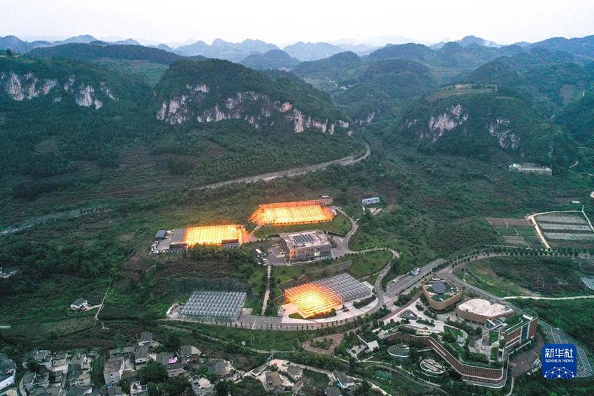 ?????? ???? ????? ??????????? ??????? ?? ???????