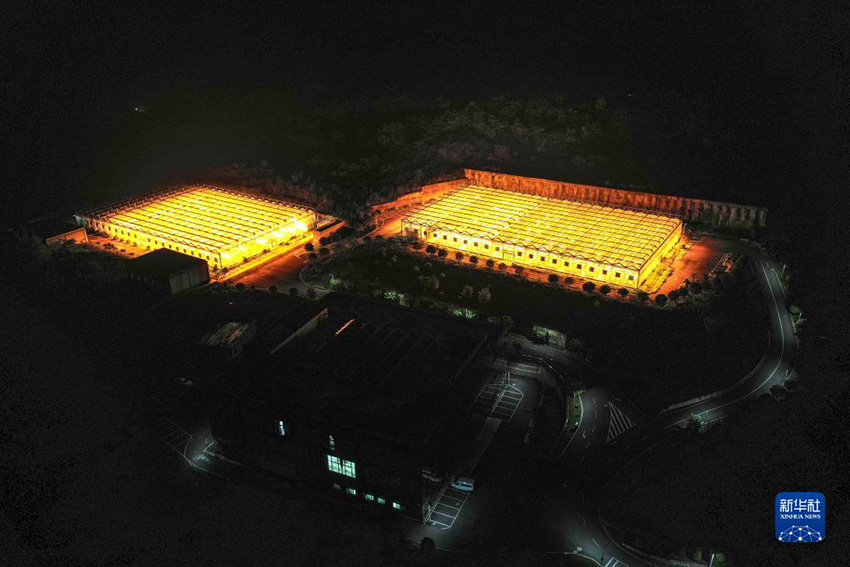 ?????? ???? ????? ??????????? ??????? ?? ???????