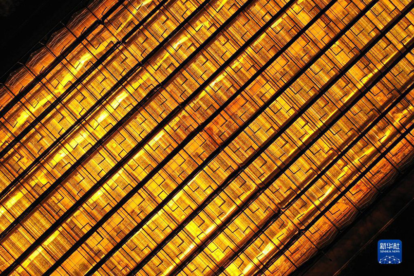 ?????? ???? ????? ??????????? ??????? ?? ???????