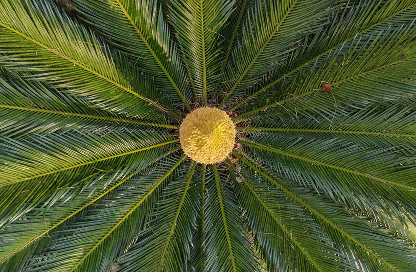 ???? ????? ?? ??????? ????? ???? ?? 1300 ??????? ???? ?? ???