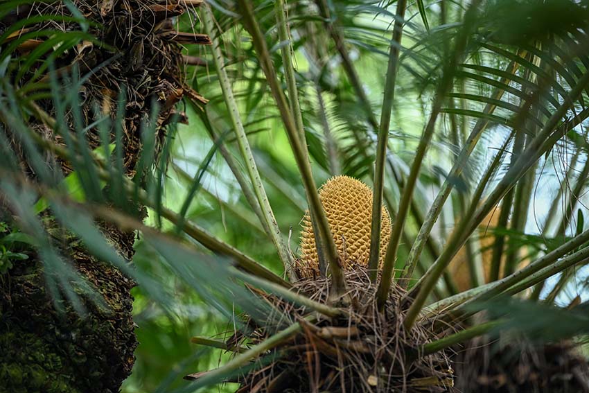 ???? ????? ?? ??????? ????? ???? ?? 1300 ??????? ???? ?? ???