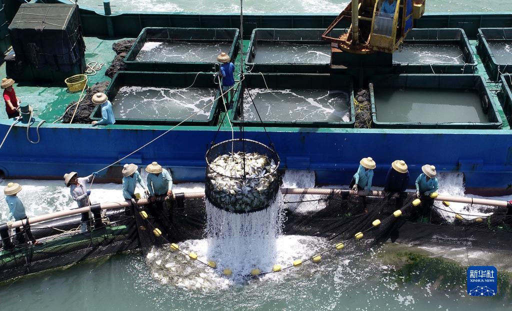 ?????????? ?????????: ????? ???? ?? ??? ??????? ?????? ?? ??????? ???????