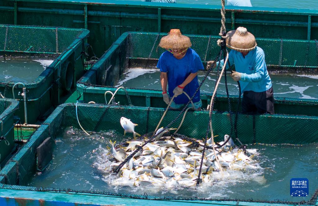 ?????????? ?????????: ????? ???? ?? ??? ??????? ?????? ?? ??????? ???????