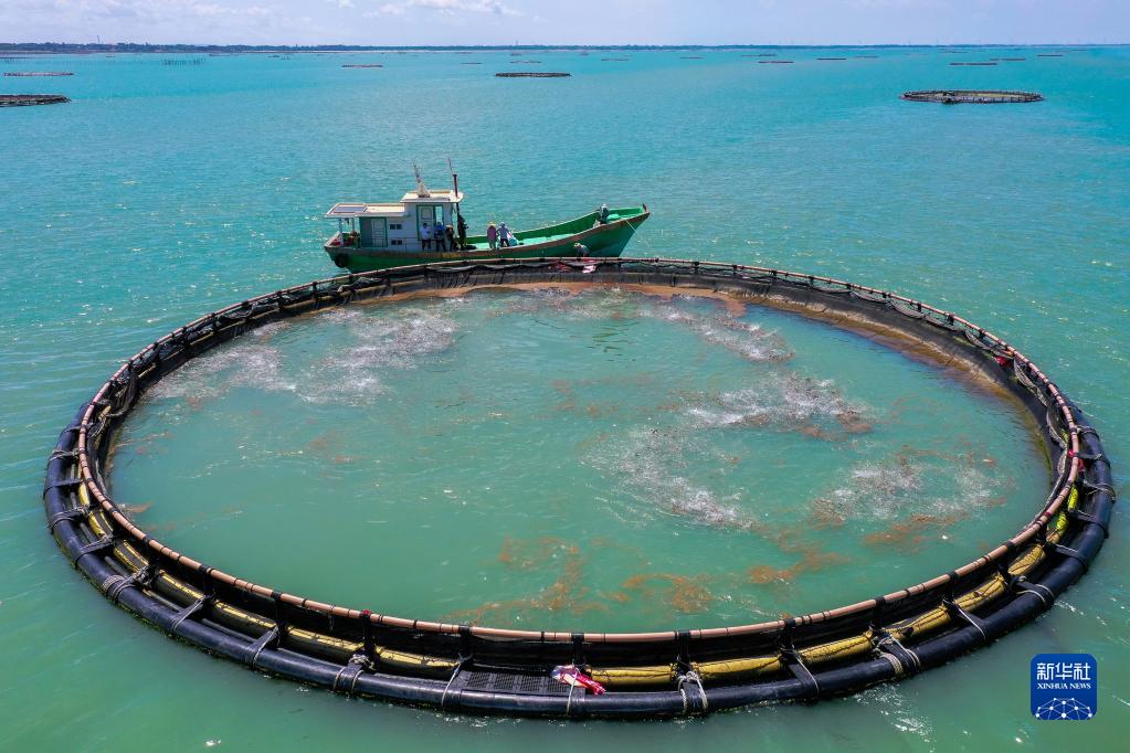 ?????????? ?????????: ????? ???? ?? ??? ??????? ?????? ?? ??????? ???????