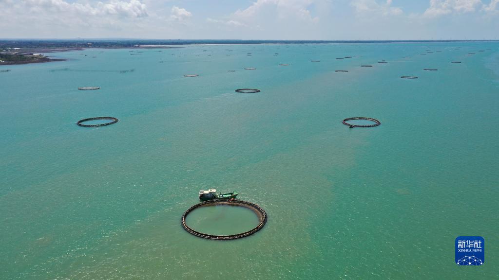 ?????????? ?????????: ????? ???? ?? ??? ??????? ?????? ?? ??????? ???????