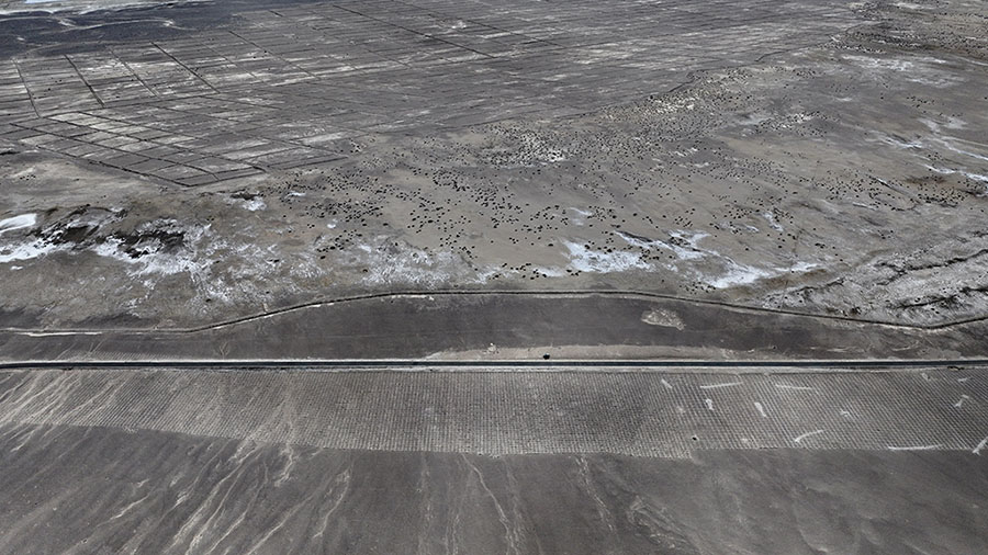 ???? ????? ?????? ??????? ?? ????? ?? ???? ??????