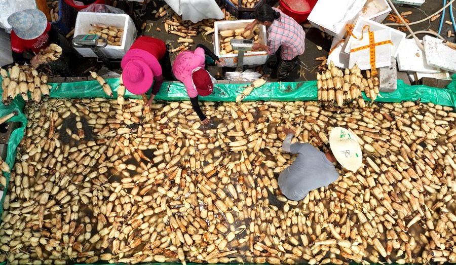 ???? ???? ????? ?????? ?????? ??????? ????? ????? ?????? ?????? ?? ????? ?????