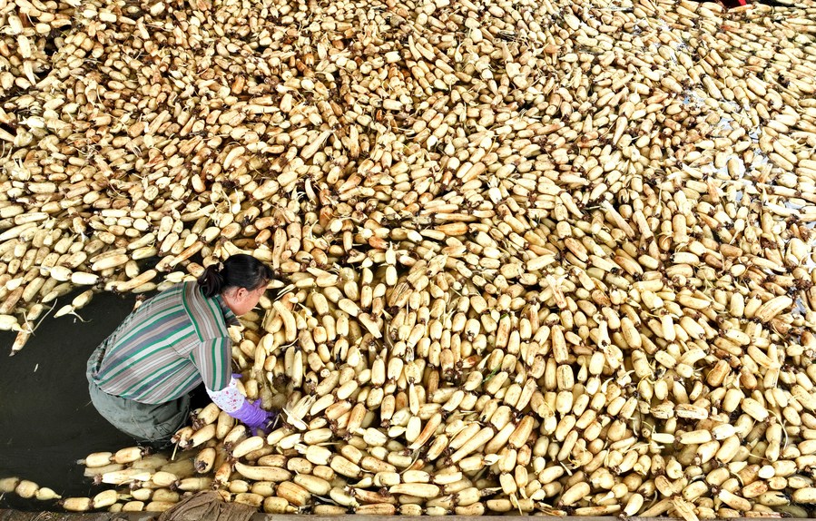 ???? ???? ????? ?????? ?????? ??????? ????? ????? ?????? ?????? ?? ????? ?????