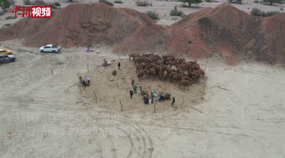 ????????? ?????? ???? ???? ??????? ?? 10 ???? ??? ?? ?????