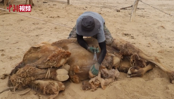 ????????? ?????? ???? ???? ??????? ?? 10 ???? ??? ?? ?????