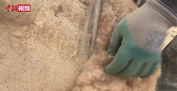 ????????? ?????? ???? ???? ??????? ?? 10 ???? ??? ?? ?????