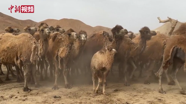 ????????? ?????? ???? ???? ??????? ?? 10 ???? ??? ?? ?????