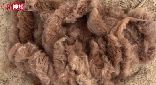 ????????? ?????? ???? ???? ??????? ?? 10 ???? ??? ?? ?????