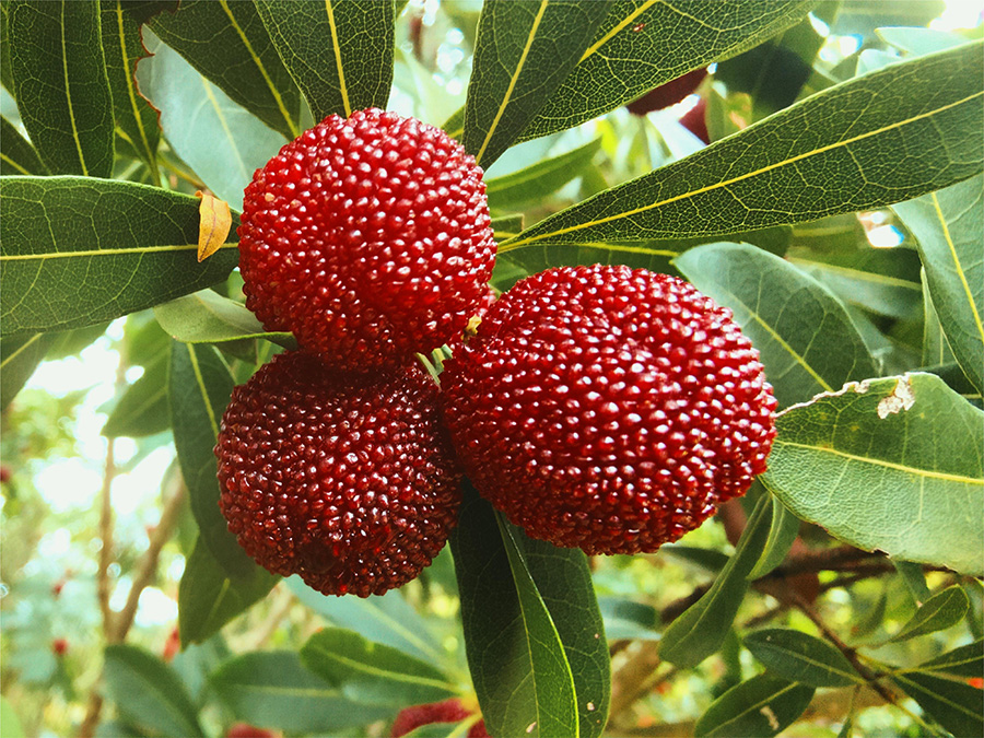 ?????? ????? ?????? ?? ????????? ???? ???? ??????