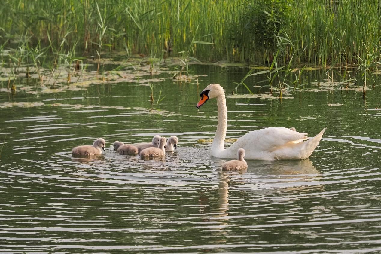 ?????: ????? ???? ???? ????? ?? ??????? ???????? ??? ??????? ????????