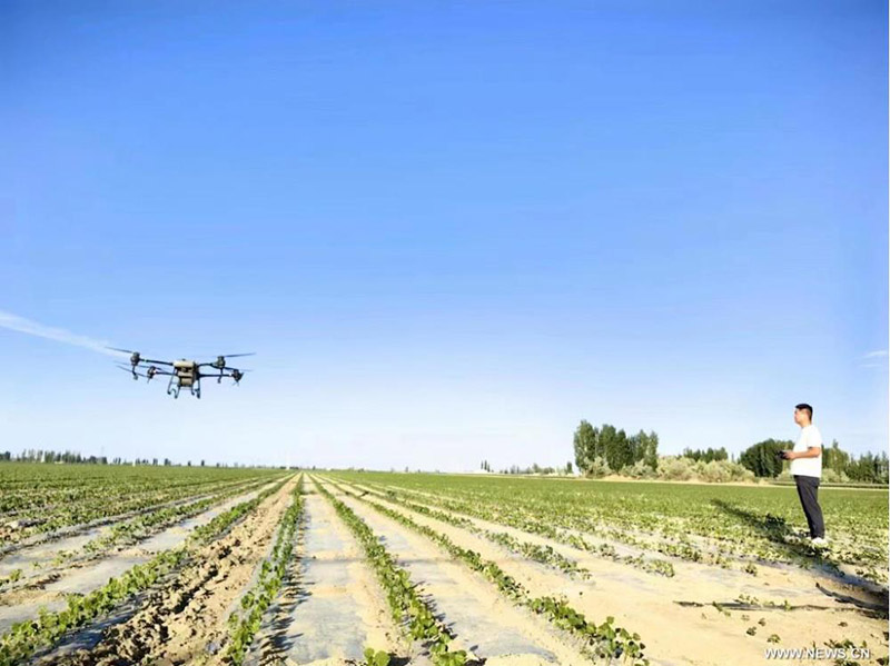 ???????? ??? ????? 2023 (??????) ?? ?????? ???????? ??? 31 ???? 2023? ???? ??? ???? ???? ????? ???? ???? ??? ???????? ?? ??? ??? ?? ????? ????? ?????? ???????? ????????? ????? ????? ????? ???? ?????.