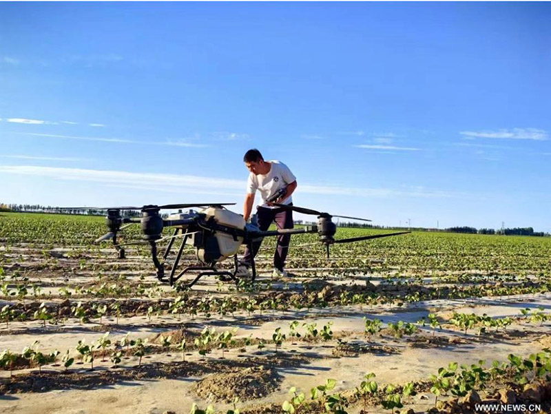 ?????? ????? ?????? ?? ?????? ???????? ????????? ???????? ???? ???? ?? ????? ????????