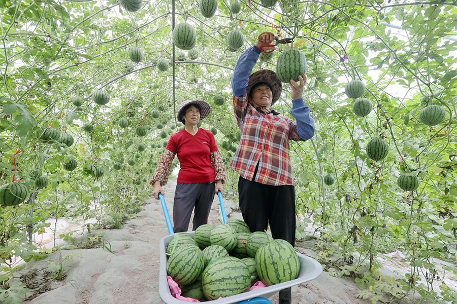 ?????? ??????? ???? ?? ???? ?????