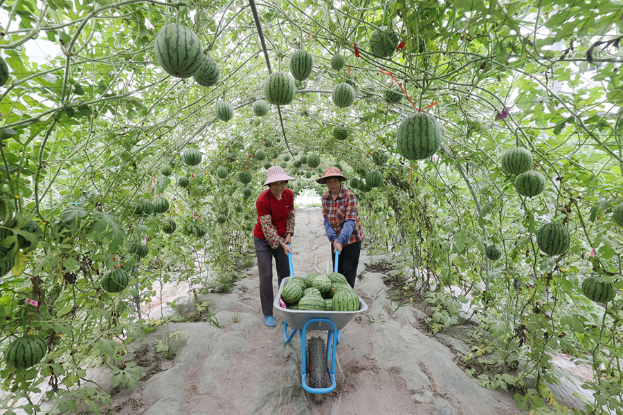 ?????? ??????? ???? ?? ???? ?????