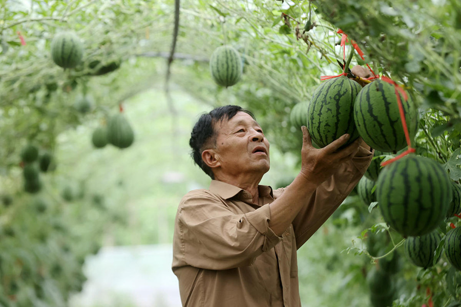 ?????? ??????? ???? ?? ???? ?????