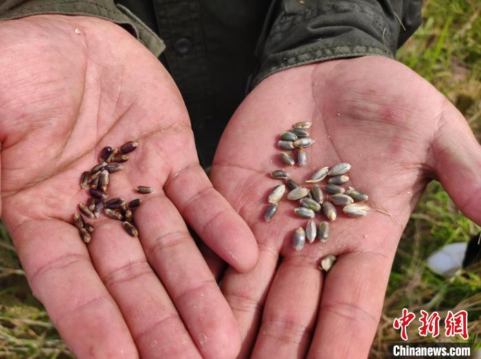 ????????? ???? ???? ???? ????? ???? ????? ???? ???? ???? ???????? ????