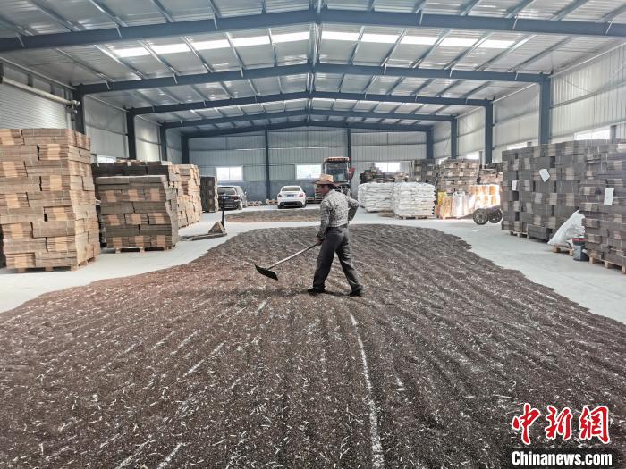 ????????? ???? ???? ???? ????? ???? ????? ???? ???? ???? ???????? ????