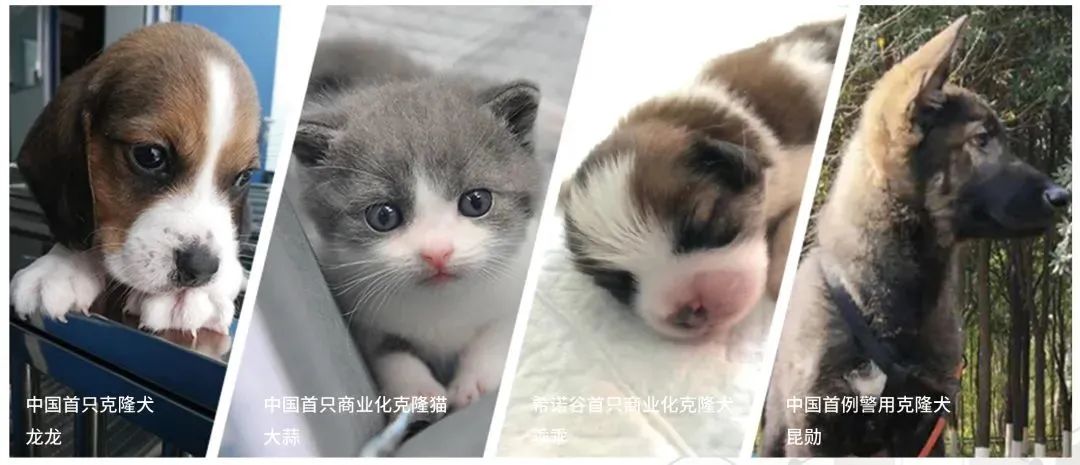 ??????? ????????? ??????? ?? ?????... ????? ????? ????? ?? ????? ?????????? ????????