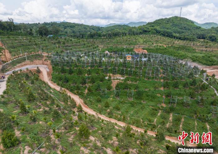 ???? ??? ?? ????? .. ????? ??? ????? ???????? ?? ????? ??????