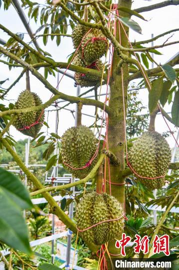 ???? ??? ?? ????? .. ????? ??? ????? ???????? ?? ????? ??????