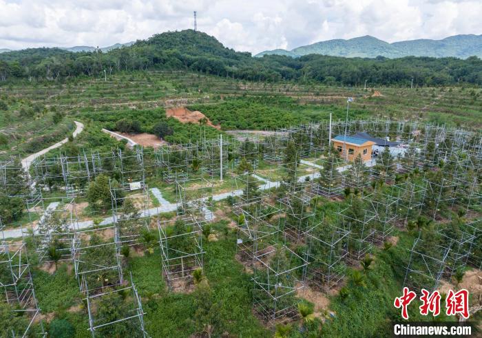 ???? ??? ?? ????? .. ????? ??? ????? ???????? ?? ????? ??????