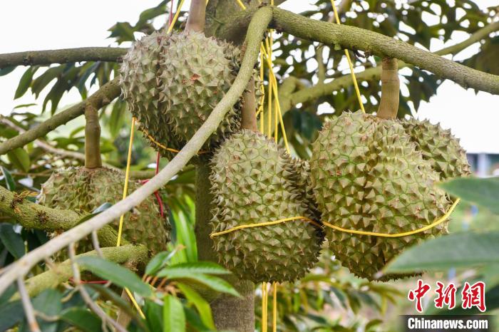 ???? ??? ?? ????? .. ????? ??? ????? ???????? ?? ????? ??????