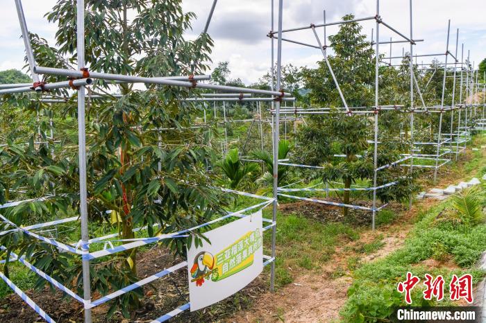 ???? ??? ?? ????? .. ????? ??? ????? ???????? ?? ????? ??????