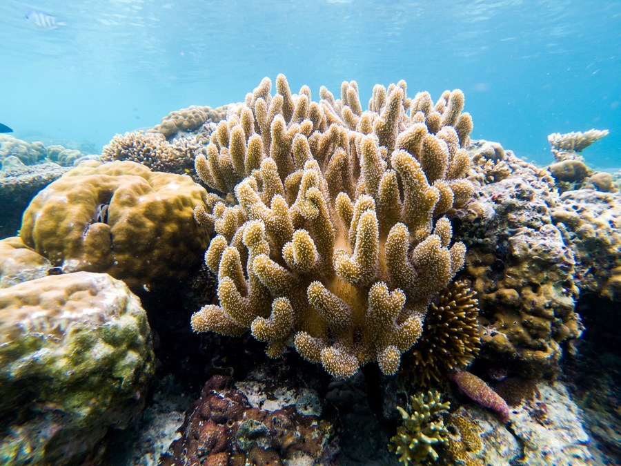 ????? ??????? ????? ?????? ???? ????? ?????? ????????? ?? ?????? ???????