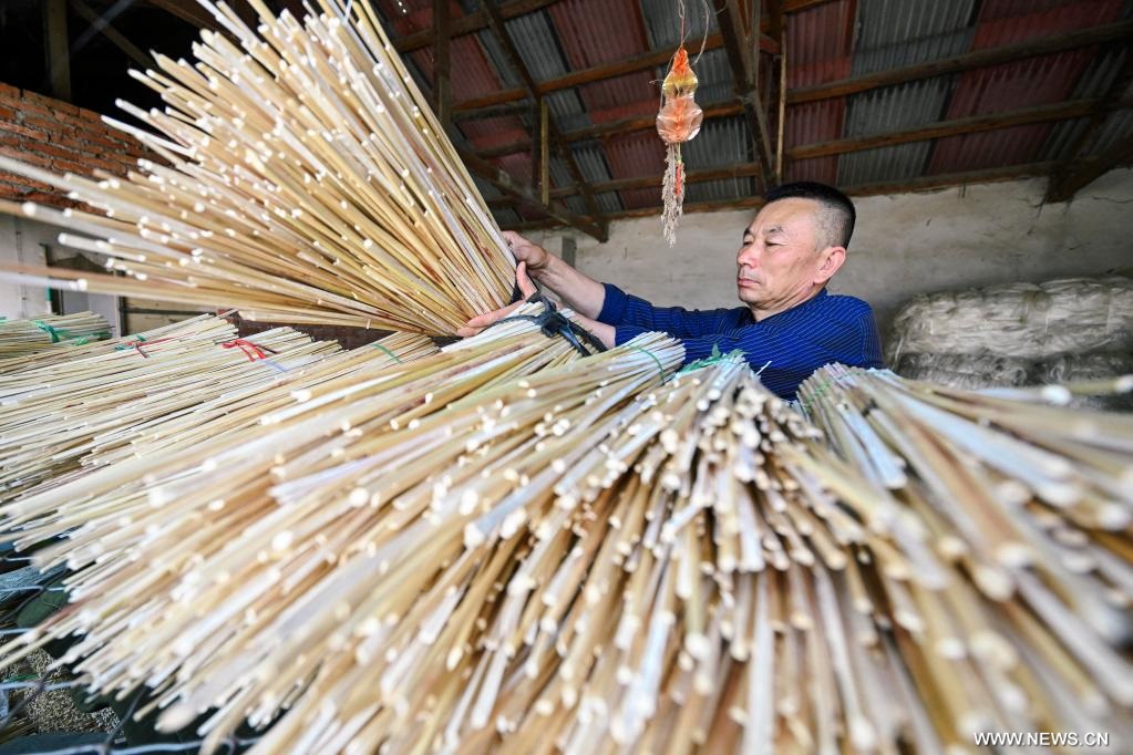 ???? ???? ???? ??????? ?? ???? ???? ?????