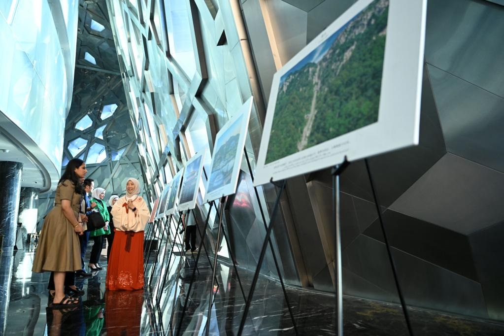 ????? : ???? ?????? ??????? ??????? ??????? ?????? ???? ???? ????? ???? ??????? ?? ??????