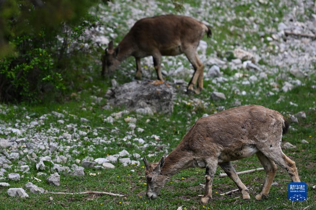 ????? ?? ????????????