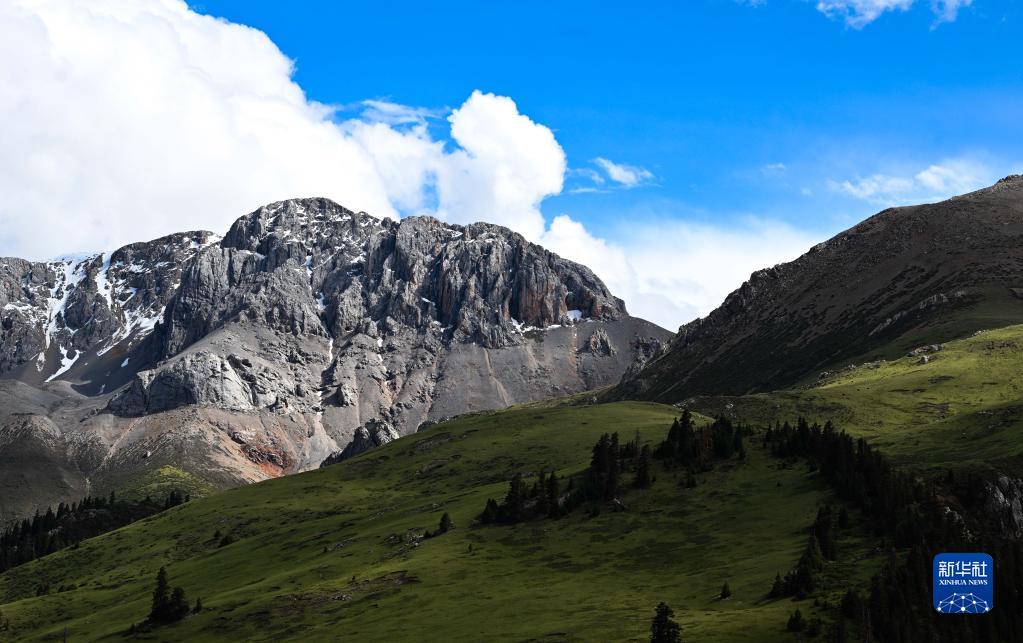 ????? ?? ????????????