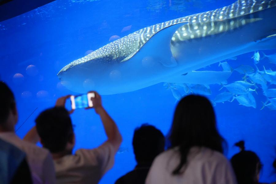 ????? ???? 3.96 ????? ???? ???? ??????? ???? ???? ?????? ????? ??????