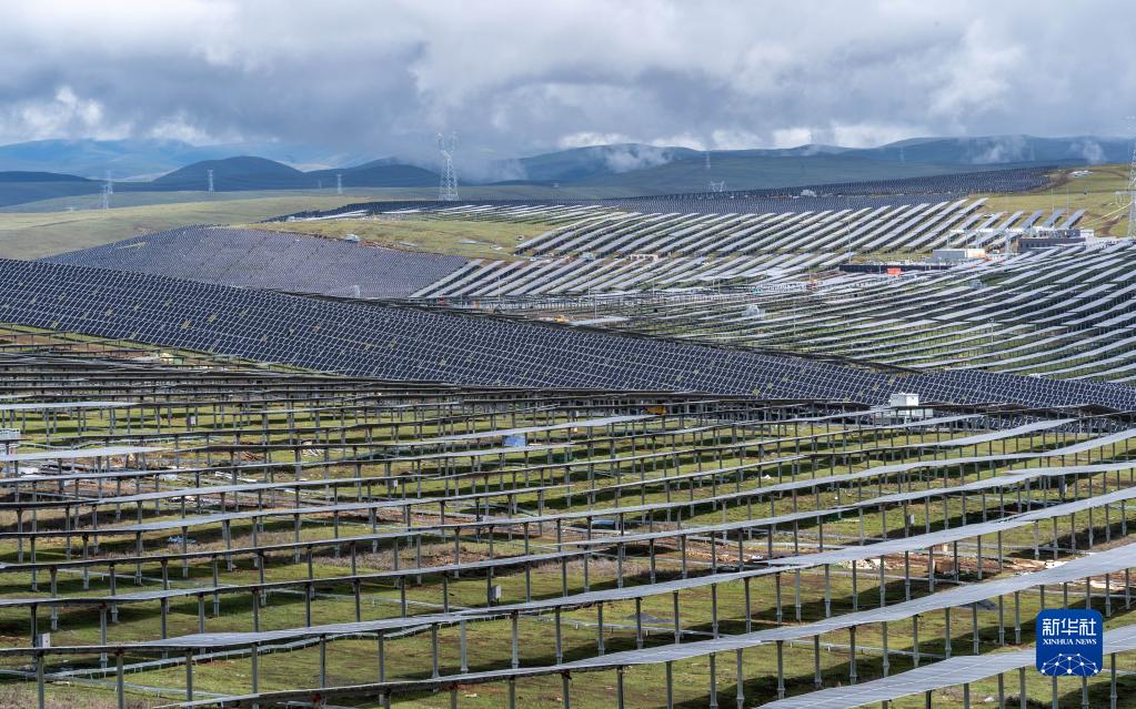 ??? ????? ???? ?????? ???????????-??????? ????????? ??????? ?? ?????