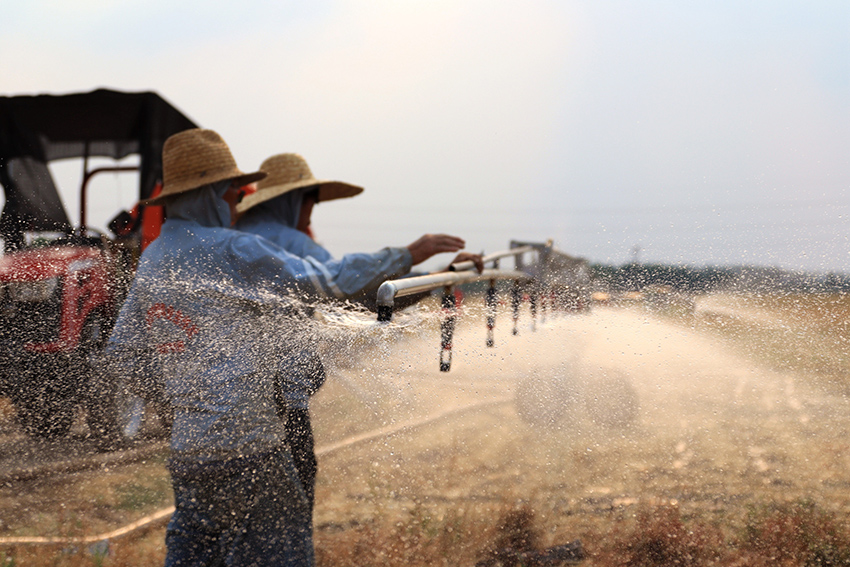 ??????? ????? ???? ????? ????? ????? ?????? ???? ????? ???? ??????