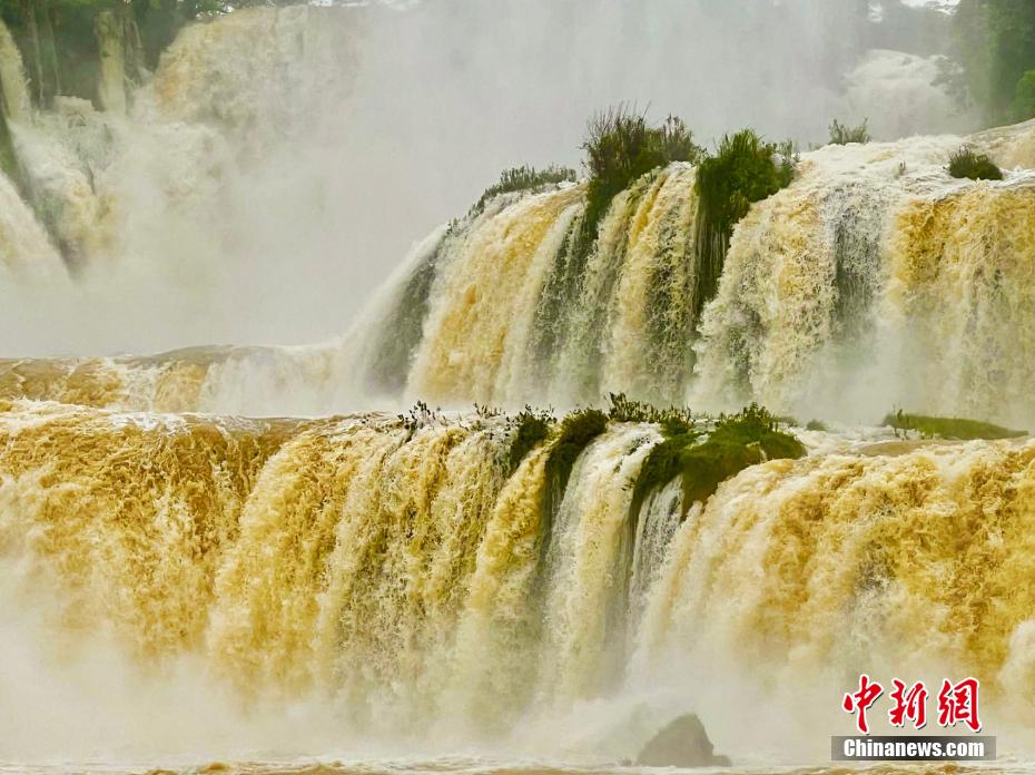 ???? ???? ???? ?????? ?? ???? ???? ????? ????” ?????? ??????“