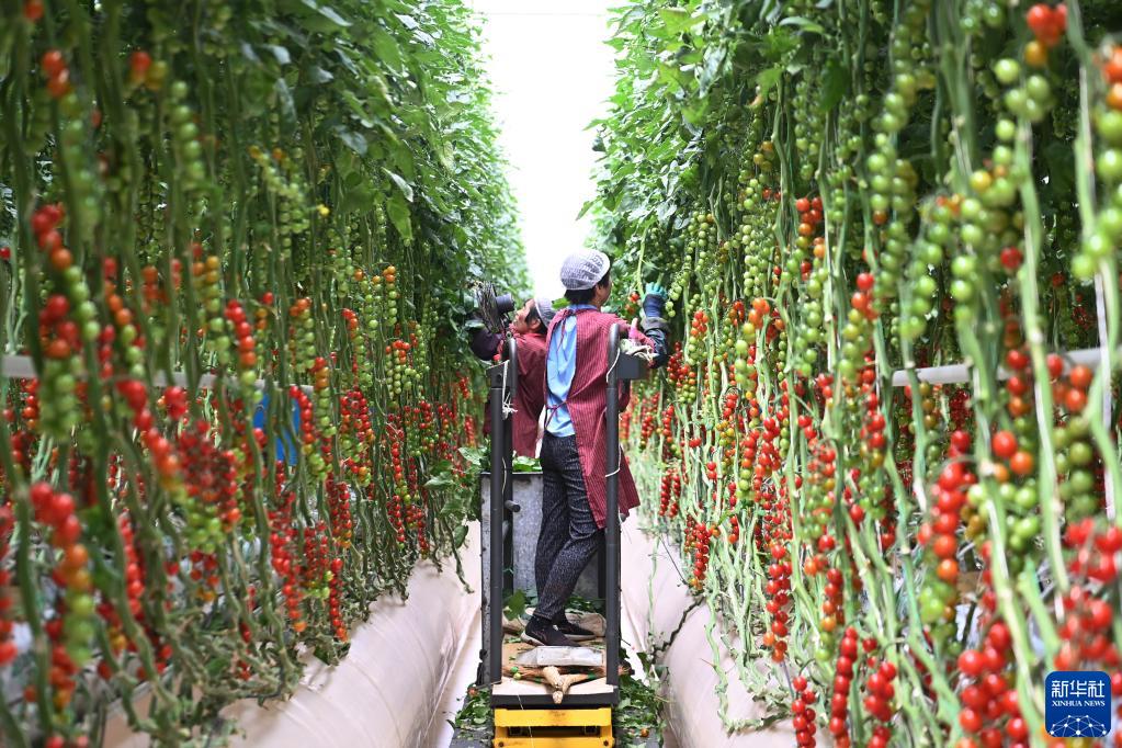 ??????? ??????? ?? ????? ????